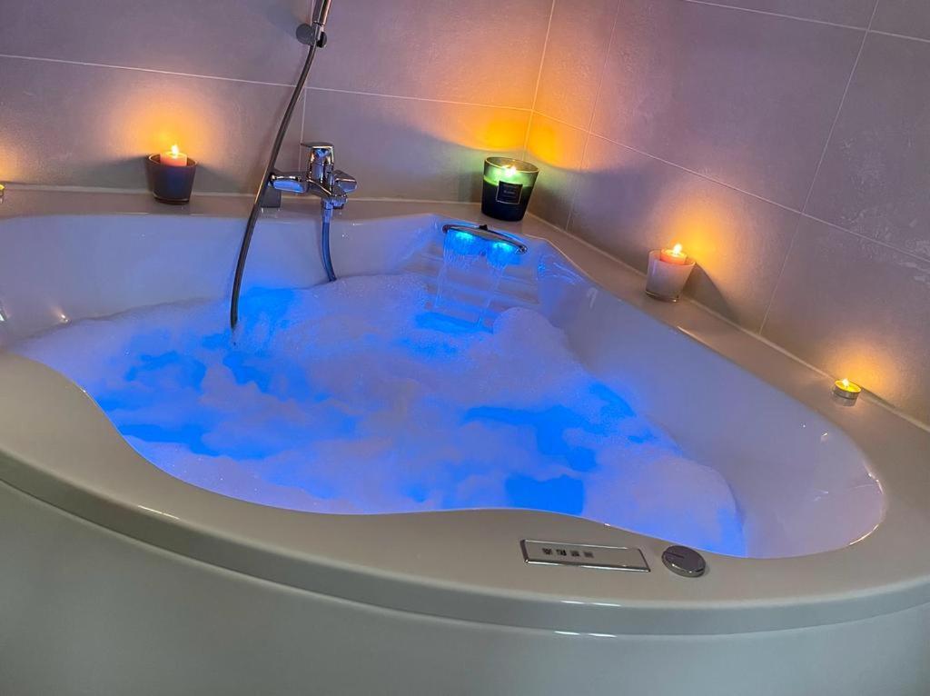 La Badine 5p Piscine Clim Jacuzzi Parc Luxuriant * Hyères